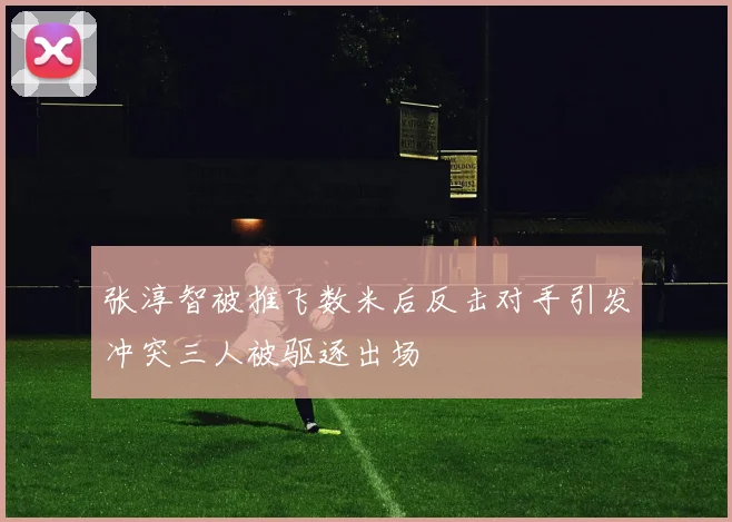 张淳智被推飞数米后反击对手引发冲突三人被驱逐出场