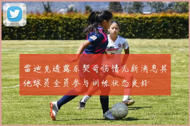 雷迪克透露东契奇伤情无新消息其他球员全员参与训练状态良好